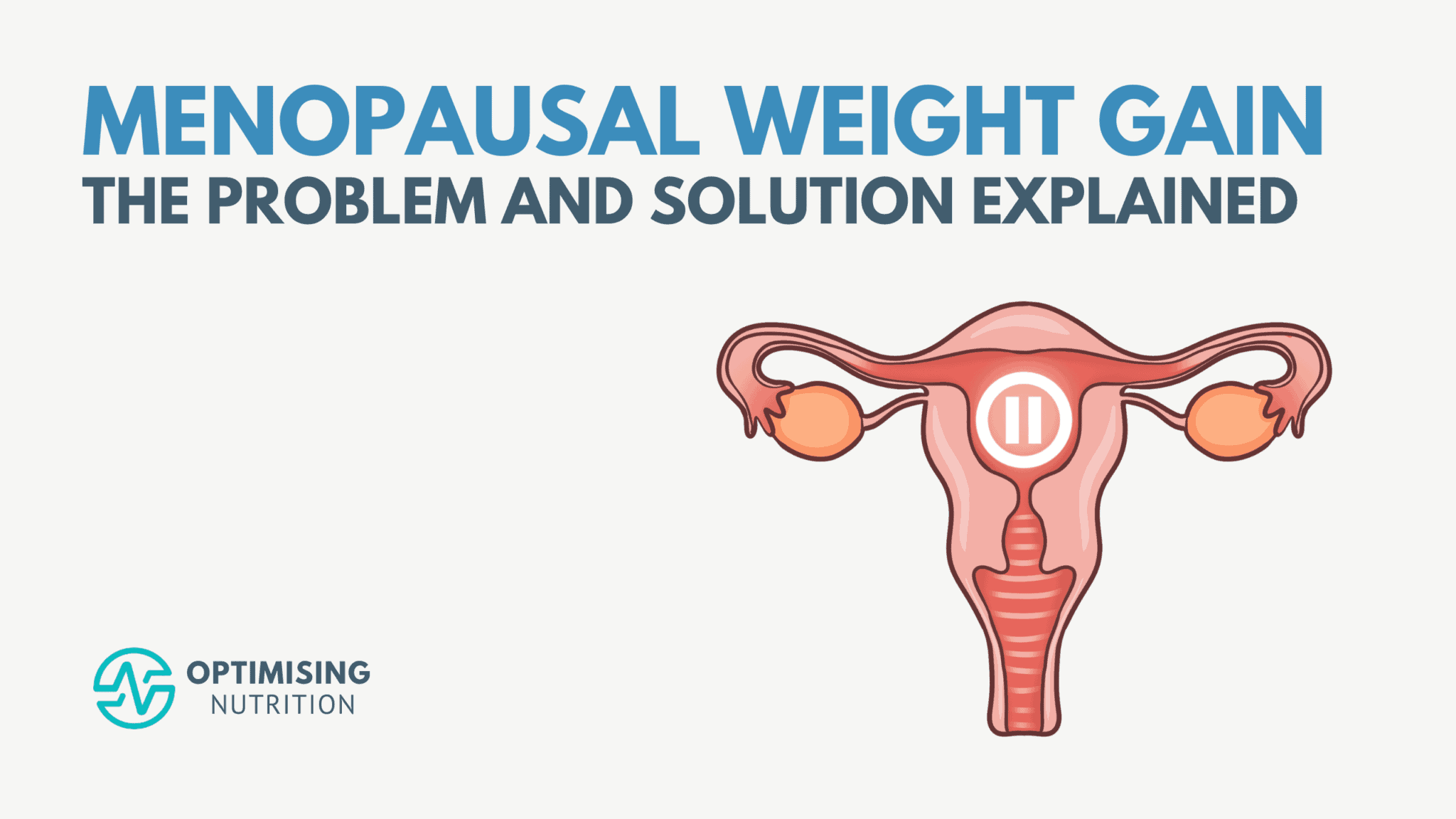 Perimenopause Weight Gain & Fat Loss Explained Optimising Nutrition