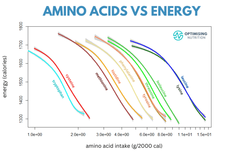 Optimal Amino Acid Intakes for Satiety and Weight Loss - Optimising ...